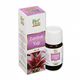 Bio Vitals 20 ml Zambak Yağı