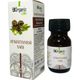 Biorganix Life 20 ml At Kestanesi Yağı