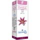 Blue Ocean 20 ml Zambak Yağı