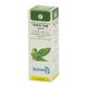 Blue Ocean 50 ml Defne Tohumu Yağı