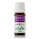 Botalife 10 ml Karanfil Yaprağı Yağı