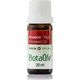 Botalife 20 ml Anason Yağı