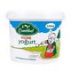Çamlıbel Yarım Yağlı 2 kg Yoğurt