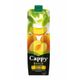Cappy 1 lt Kayısı Bahçe Meyve Suyu