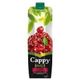 Cappy 1 lt Tetrapak Vişneli Meyve Suyu