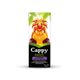 Cappy %100 200 ml Karışık Meyve Suyu