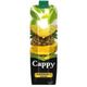 Cappy 1000 ml Ananas Suyu