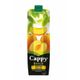 Cappy 12x1 lt Kayısı Meyve Suyu