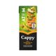Cappy 200 ml Atom Meyve Suyu