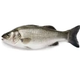 Carrefour 400-600 gr Levrek