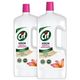 Cif Müge Çiçeği ve Frezya 2x1500 ml Yüzey Temizleyici Krem