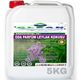 Clean Leylak Kokulu 5 kg Oda Parfümü