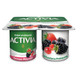 Danone 4x100 gr Activia Orman Meyveli Yoğurt