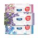 Deep Fresh Maxi Pack Karma Paket 3x144 Yaprak Islak Mendil
