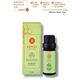 Densa Essential 10 ml Saf Doğal Biberiye Uçucu Yağı