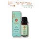 Densa Essential 10 ml Saf Doğal Çay Ağacı Uçucu