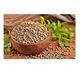 Dökme Baharat 100 gr Tane Kişniş
