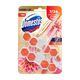 Domestos Aroma Lux Yıldız Çiçeği & Ejder Meyvesi 100 gr Tuvalet Bloğu