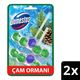 Domestos Çam Ormanı 2x50 gr Tuvalet Bloğu