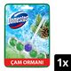 Domestos Çam Ormanı 50 gr Tuvalet Bloğu