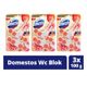 Domestos Yıldız Çiçeği Ejder Meyvesi 3x100 gr Tuvalet Bloğu