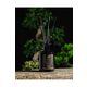 Doqu Home 200 ml New Dark Amber Oda Spreyi