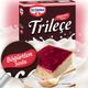 Dr. Oetker Böğürtlen Soslu Trileçe