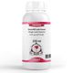Elito 250 ml Premium Zencefilli Latte Esansı