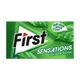First 27 gr 60 Dk Yeşil Nane Aromalı Şekersiz Sakız