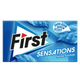 First Sensations 27 gr Nane Aromalı Sakız