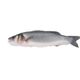 Fish Fish 600 gr Donuk Temizlenmiş Levrek