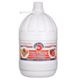Fo 6 kg Dondurma ve Kokteyl İçin Nar Aromalı Sos