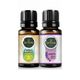 Gardone 2x10 ml Dağ Esintisi Ortam Koku Seti
