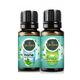 Gardone 2x10 ml Hazan Esintisi Ortam Koku Seti