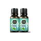 Gardone 2x10 ml Nane Uçucu Yağı Buhurdanlık Ortam Kokusu