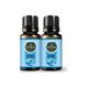 Gardone 2x10 ml Okyanus Uçucu Yağı Buhurdanlık Ortam Kokusu