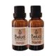 Gardone 2x30 ml Mango + Nane Oda Kokusu