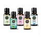 Gardone 5x10 ml Mis Ortam Koku Seti