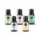 Gardone 5x10 ml Prens Hediyesi Ortam Koku Seti