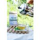 Haven Herbs & Blends 50 gr Tulsi Spearmint Çayı