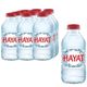Hayat 0.33 ml Doğal Mineralli Su