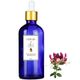 Herbs & Oils 100 ml Hanımeli Yağı