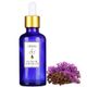Herbs & Oils 50 ml Karanfil Yağı