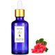 Herbs & Oils 50 ml Sardunya Yağı