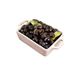 Hiper 500 gr Siyah Zeytin