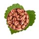 Hışıroğlu Kuruyemiş 500 gr Siirt Fıstığı