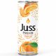 Juss 250 ml Meyveli Portakal Parçalı İçecek
