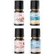 Le Balvo 10 ml Amber + Okyanus + Bahçe Gülü + Stres Uçucu Saf Esans Buhur Yağı