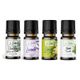 Le Balvo 10 ml Lavanta + Limon + Nane + Okaliptus Uçucu Yağ