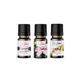 Le Balvo 10 ml Vanilya +Vadi Zambağı + Tutti Frutti Buhurdanlık Esansı